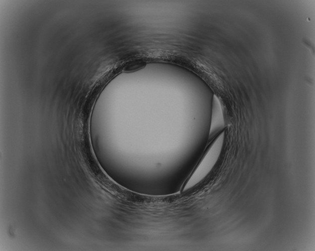 X0000092230587200710121219