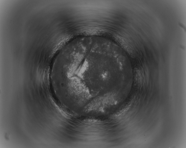 X0000092230590200710121219