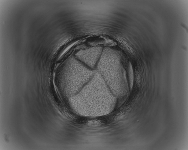 X0000092230591200710121219