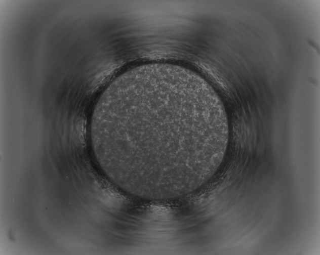 X0000092230592200710121219