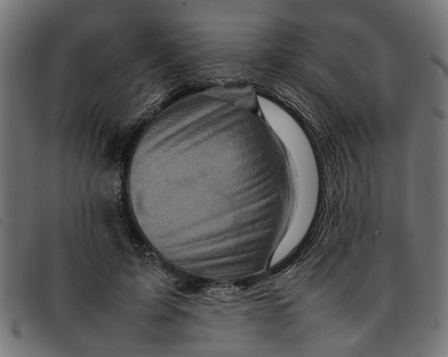 X0000092230595200710121219