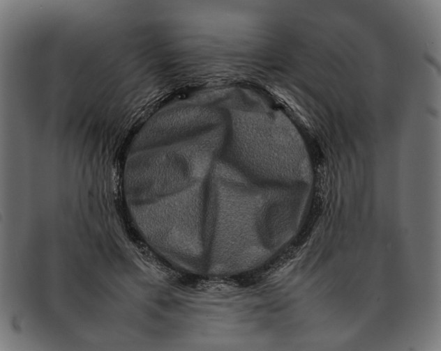 X0000092230597200710121219