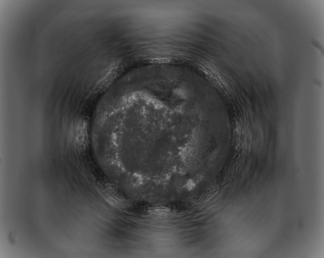 X0000092230598200710121219