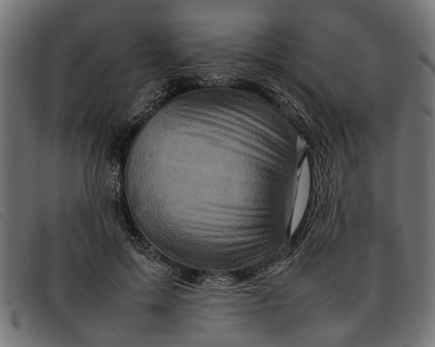 X0000092230599200710121219