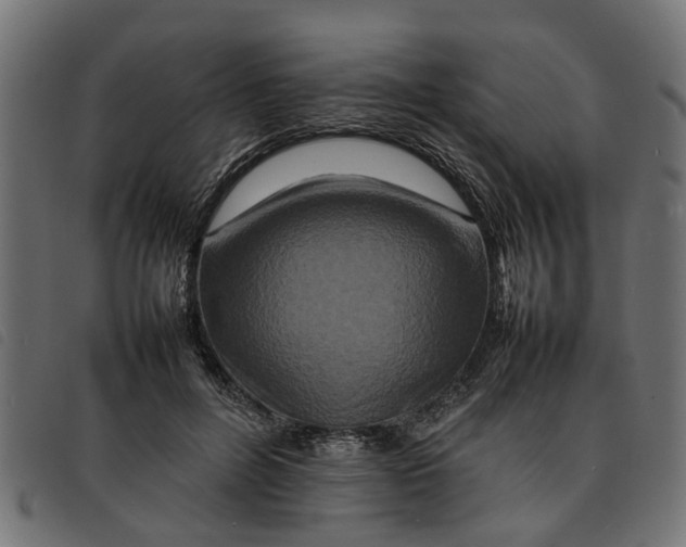 X0000092230600200710121219