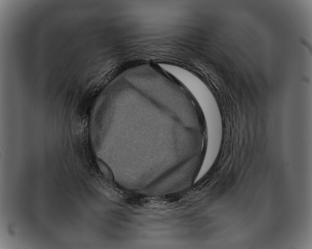 X0000092230601200710121219