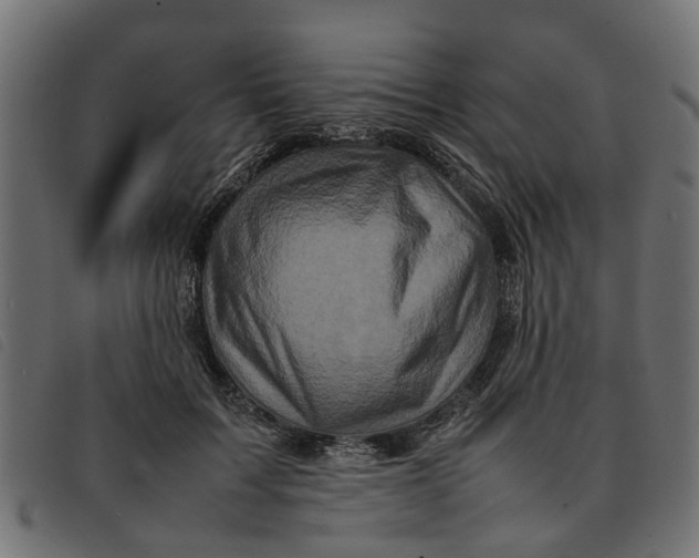 X0000092230603200710121219