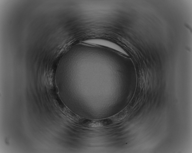 X0000092230604200710121219