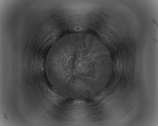 X0000092230606200710121219