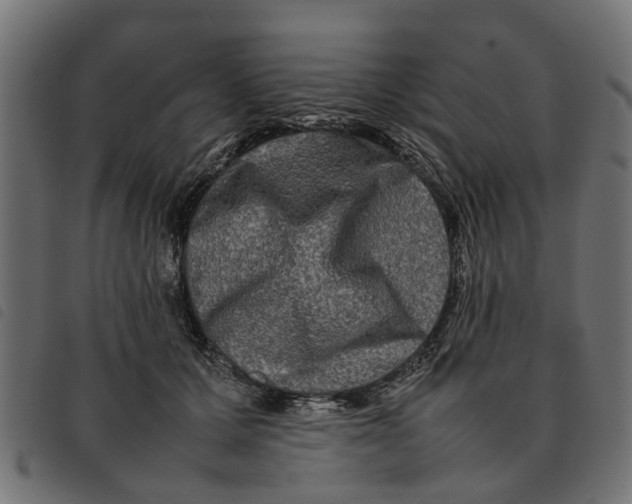 X0000092230607200710121219