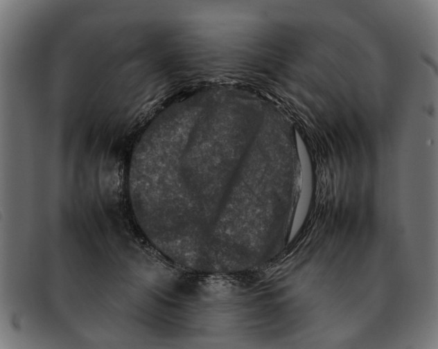 X0000092230608200710121219