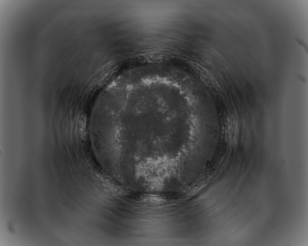 X0000092230610200710121219