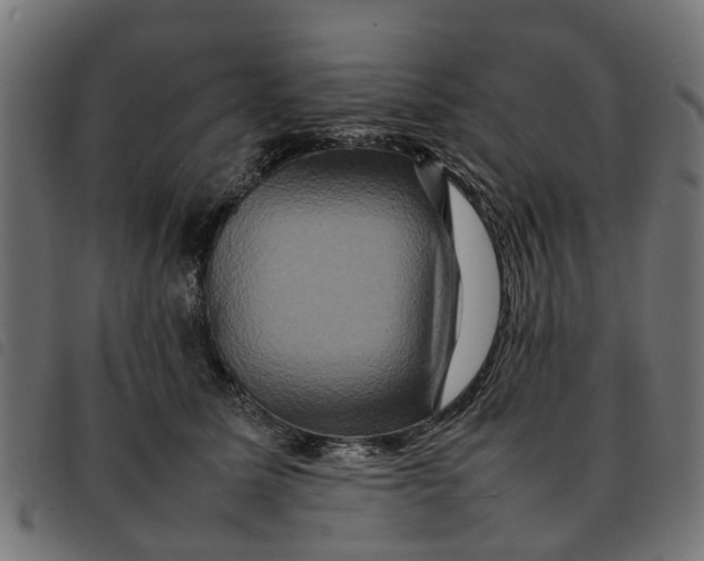 X0000092230611200710121219