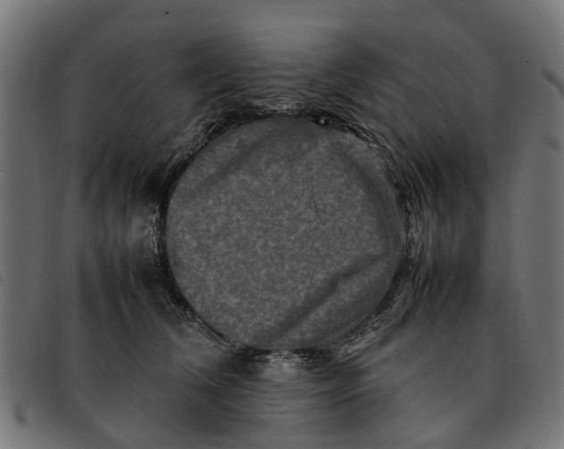 X0000092230612200710121219