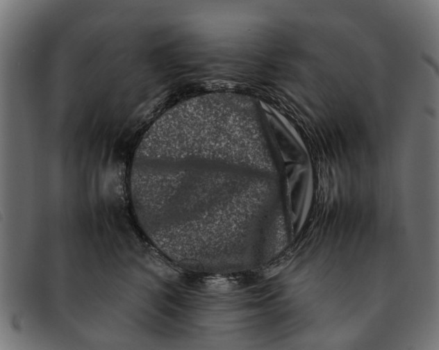 X0000092230616200710121219