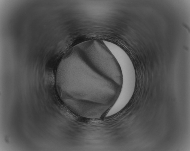 X0000092230617200710121219