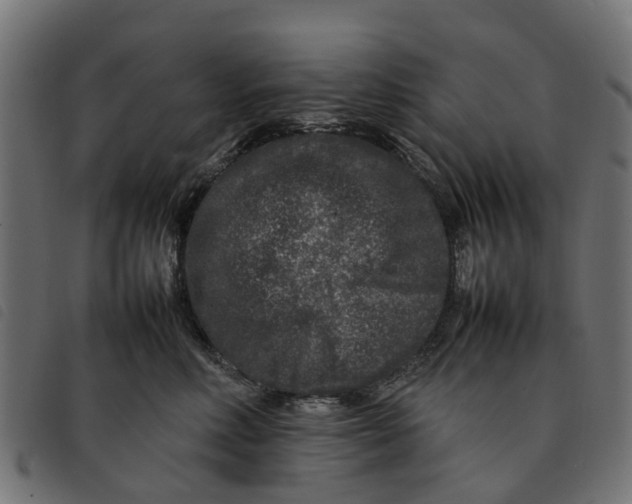 X0000092230618200710121219