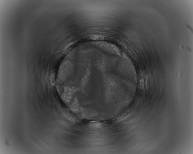 X0000092230620200710121219