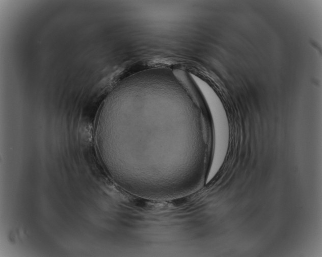 X0000092230621200710121219