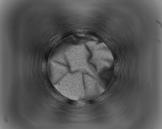 X0000092230623200710121219