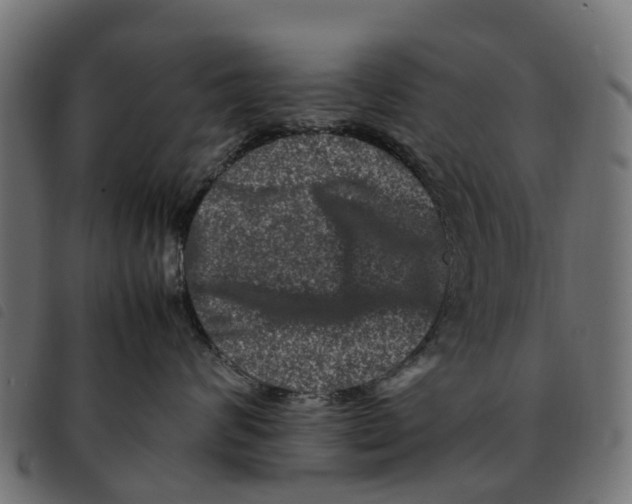 X0000092230624200710121219