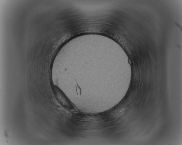 X0000092230625200710121218