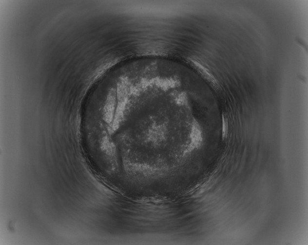 X0000092230627200710121218