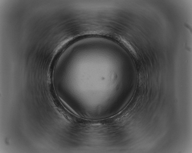 X0000092230628200710121218