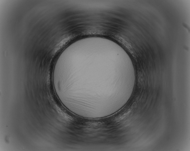 X0000092230629200710121218