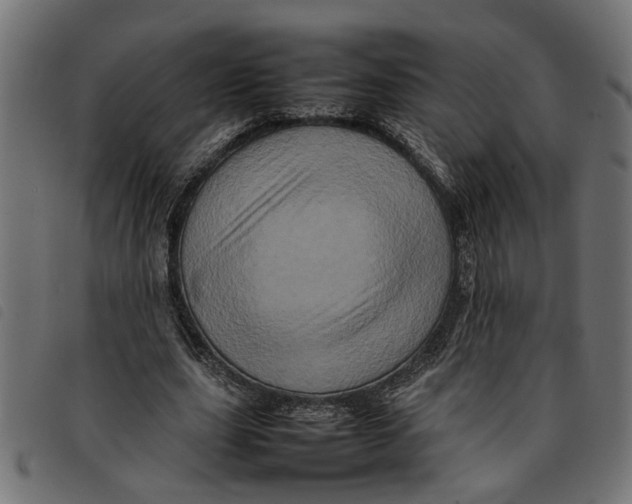 X0000092230631200710121218