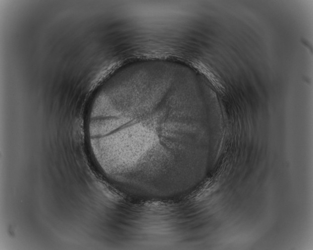 X0000092230634200710121218