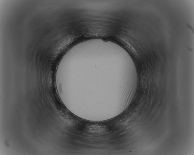 X0000092230635200710121218