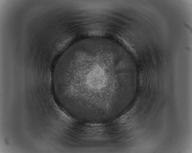 X0000092230637200710121218