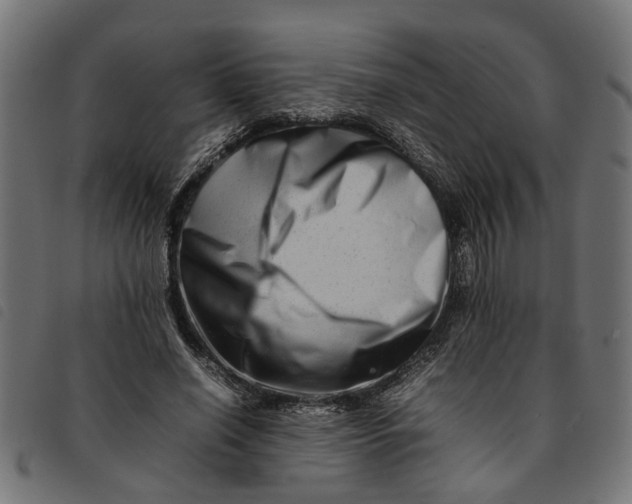 X0000092230638200710121218