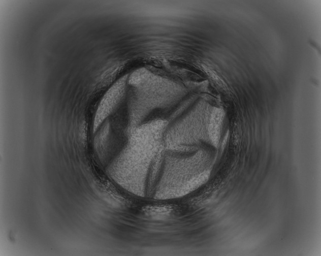 X0000092230639200710121218