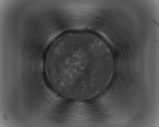 X0000092230640200710121218