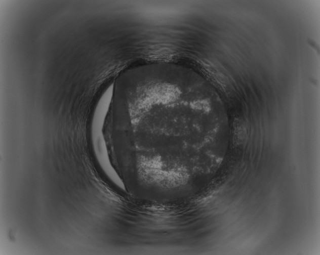 X0000092230641200710121218