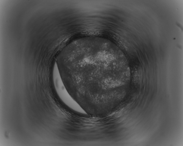 X0000092230643200710121219