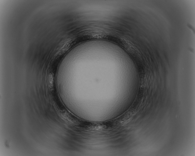 X0000092230646200710121219