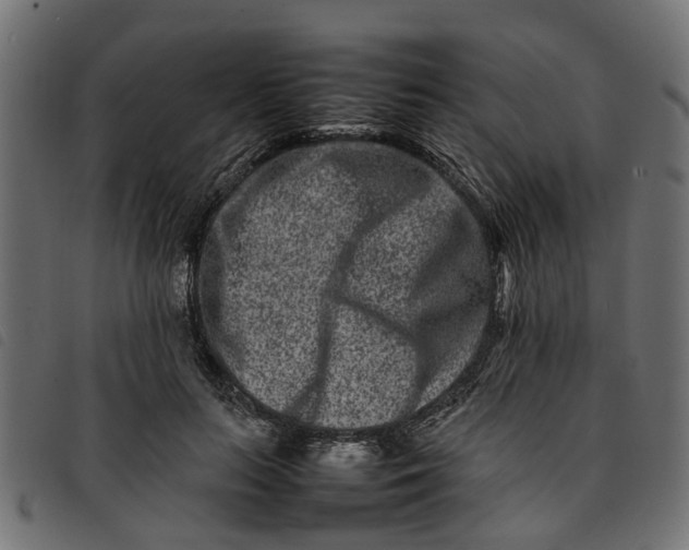 X0000092230647200710121219