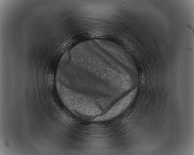 X0000092230648200710121219