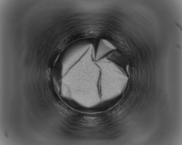 X0000092230649200710121219