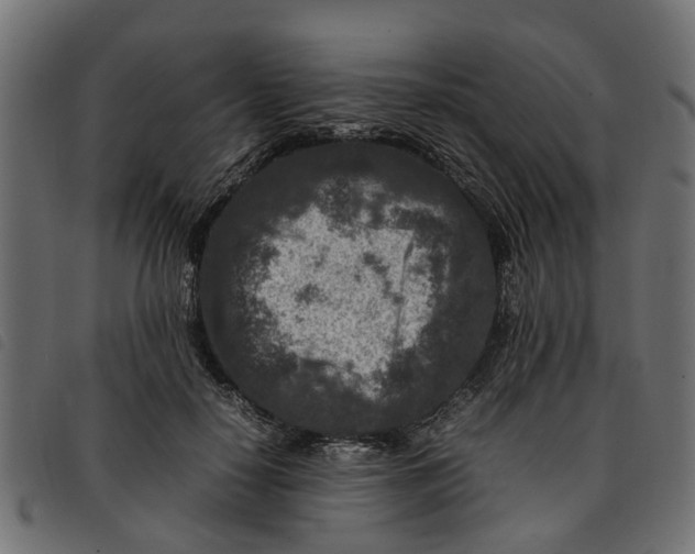 X0000092230650200710121219