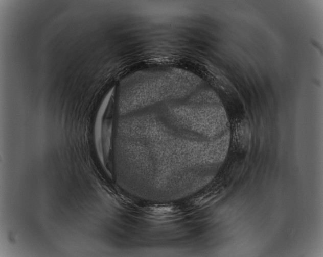 X0000092230651200710121219