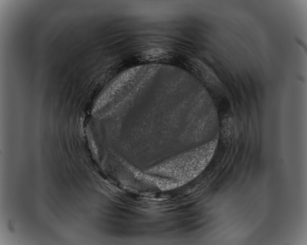 X0000092230653200710121219