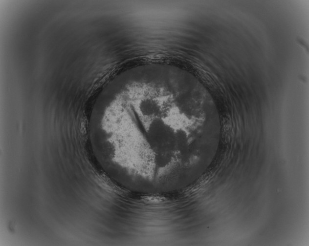 X0000092230654200710121219