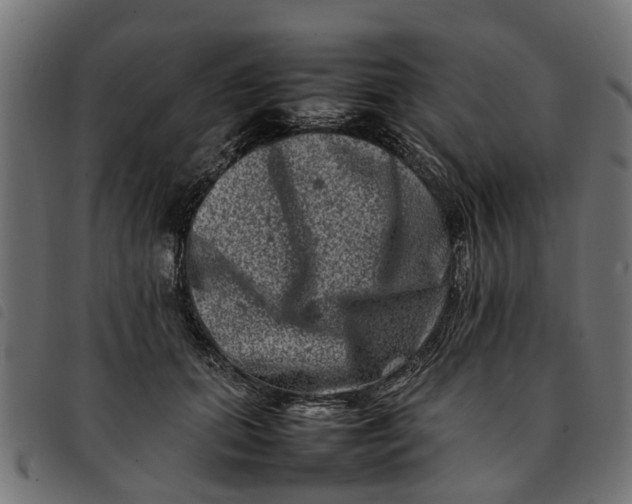 X0000092230655200710121219