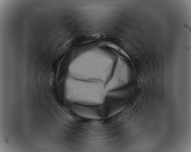 X0000092230656200710121219