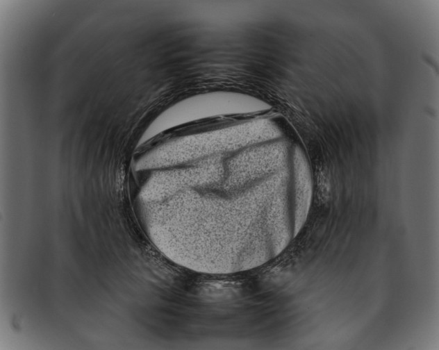 X0000092230657200710121219