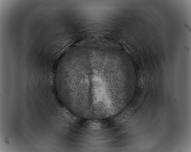 X0000092230658200710121219